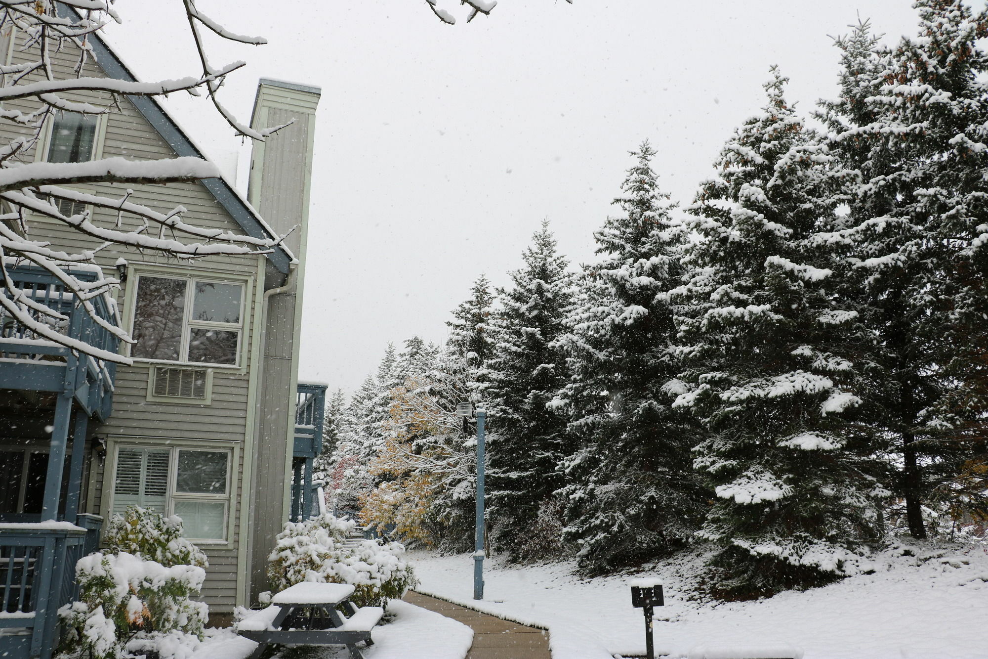 Blue Mountain Apartment At North Creek Resort ブルー・マウンテンズ エクステリア 写真